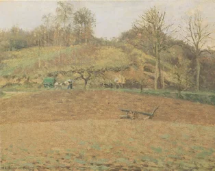 Campi arati